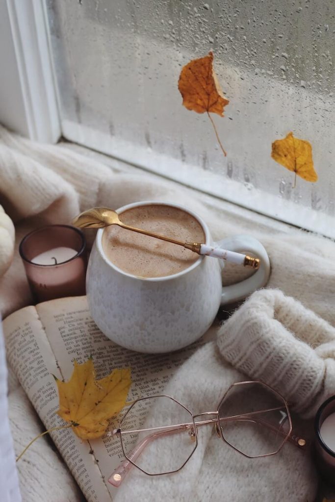 Hot cocoa in a mug by the window